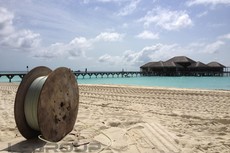 Reel on the Beach