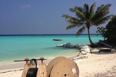 Reels on the Beach